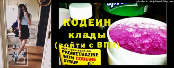 скорость Елизово