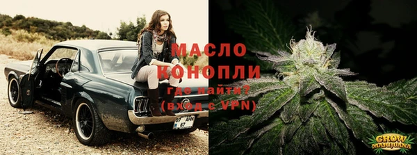 мет Елабуга