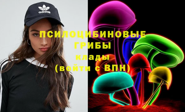 скорость Елизово